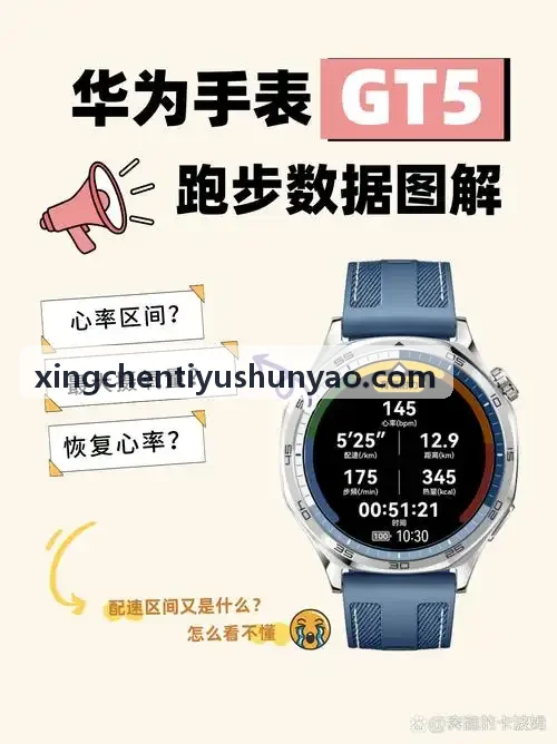便携式移动测评站XINGCHENTIYU实物套件
